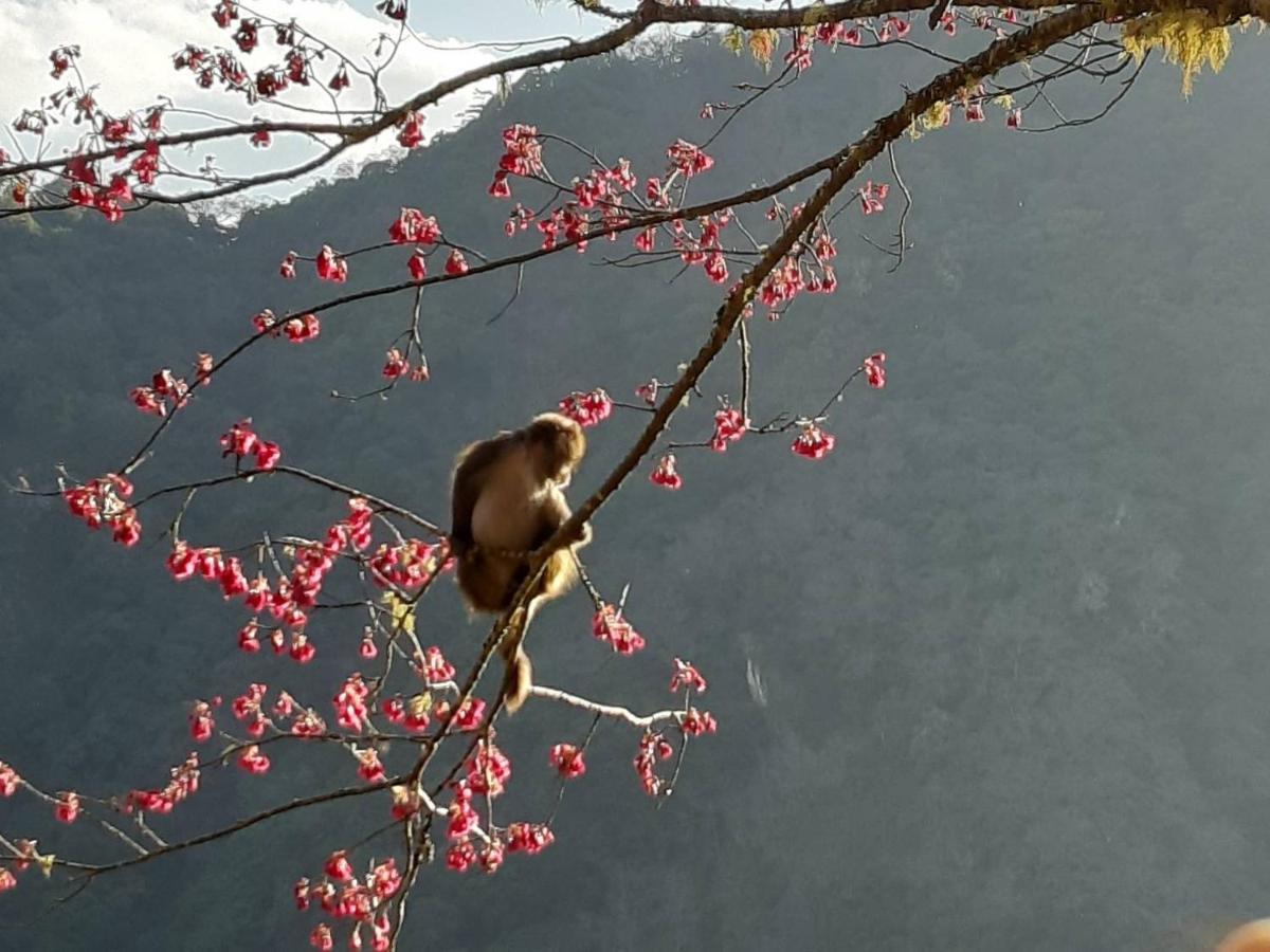 慢水山丘民宿 Slow Water Hill Yuemei Esterno foto