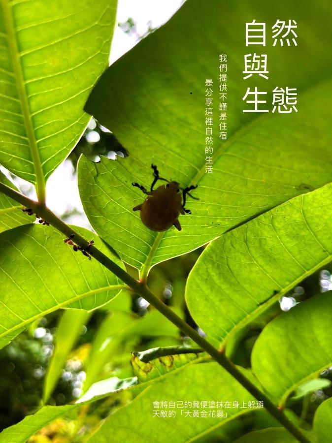 慢水山丘民宿 Slow Water Hill Yuemei Esterno foto