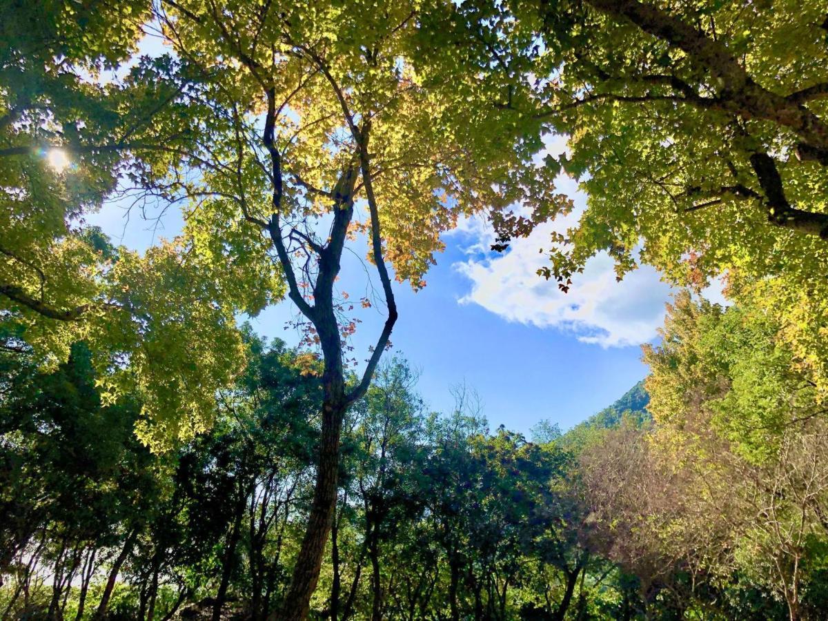 慢水山丘民宿 Slow Water Hill Yuemei Esterno foto